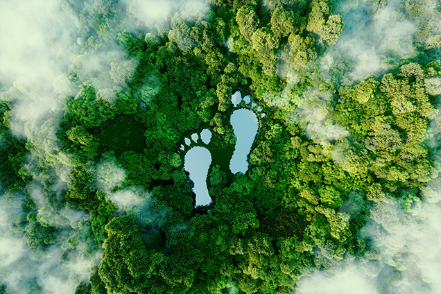 A lake in the shape of human footprints in the middle of a lush forest as a metaphor for the impact of human activity on the landscape and nature in general