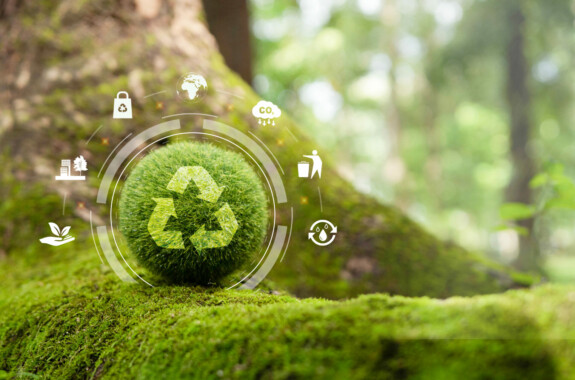 Circular Economy