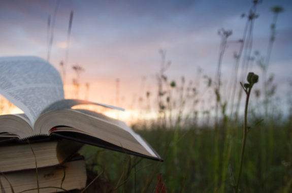 BOOKS IN SUMMER NIGHT