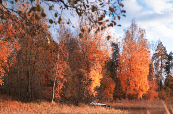 finnish autumn